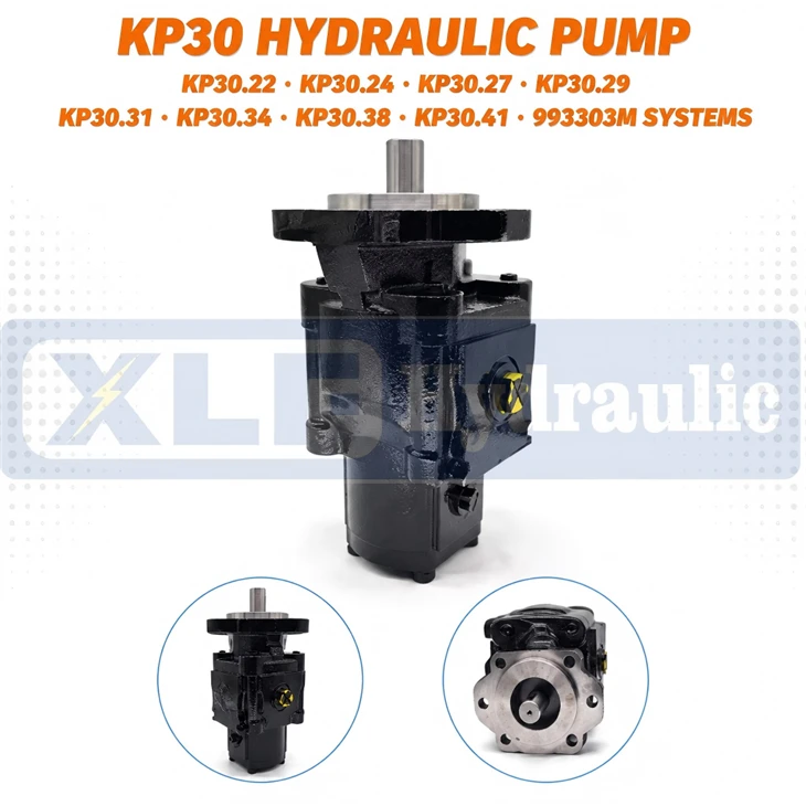 Casappa KP30 Hydraulic Gear Pump KP30.22 KP30.24 KP30.27 KP30.29 KP30.31 KP30.34 KP30.38 KP30.41 993303M