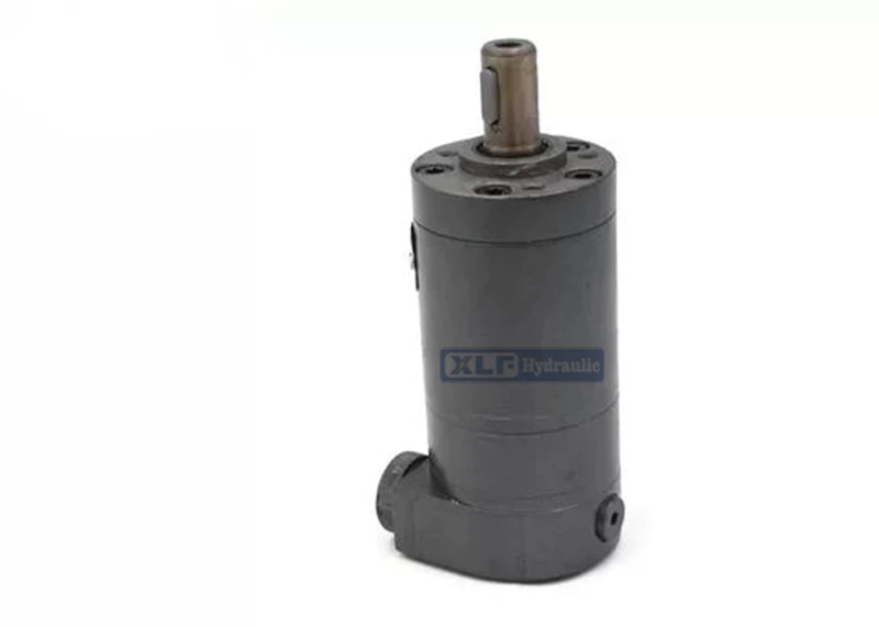 Haulotte 2505003890 Gerotor Hydraulic Motor - Low Speed High Torque Drive Parts suppliers