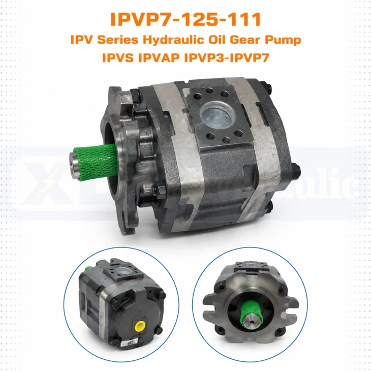 IPVP7‑125‑111 IPV Series Hydraulic Oil Gear Pump IPVS IPVAP IPVP3‑IPVP7