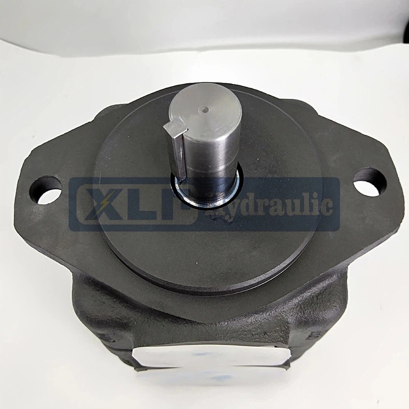 Double Vane Pump Double Vane Pump