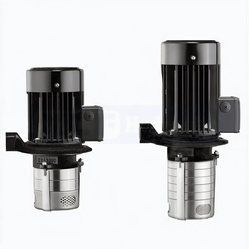 product-800-800 product-800-800