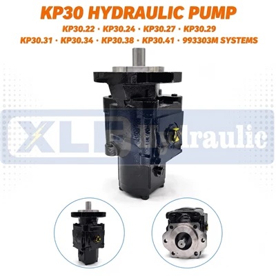 Casappa KP30 Hydraulic Gear Pump KP30.22 KP30.24 KP30.27 KP30.29 KP30.31 KP30.34 KP30.38 KP30.41 993303M
