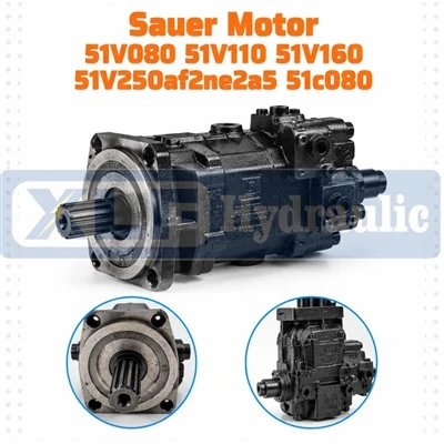 Sauer Motor 51V080 51V110 51V160 51V250af2ne2a5 51c080