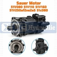 Sauer Motor 51V080 51V110 51V160 51V250af2ne2a5 51c080